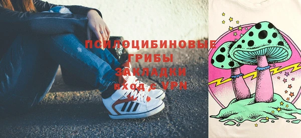 МДПВ Алзамай